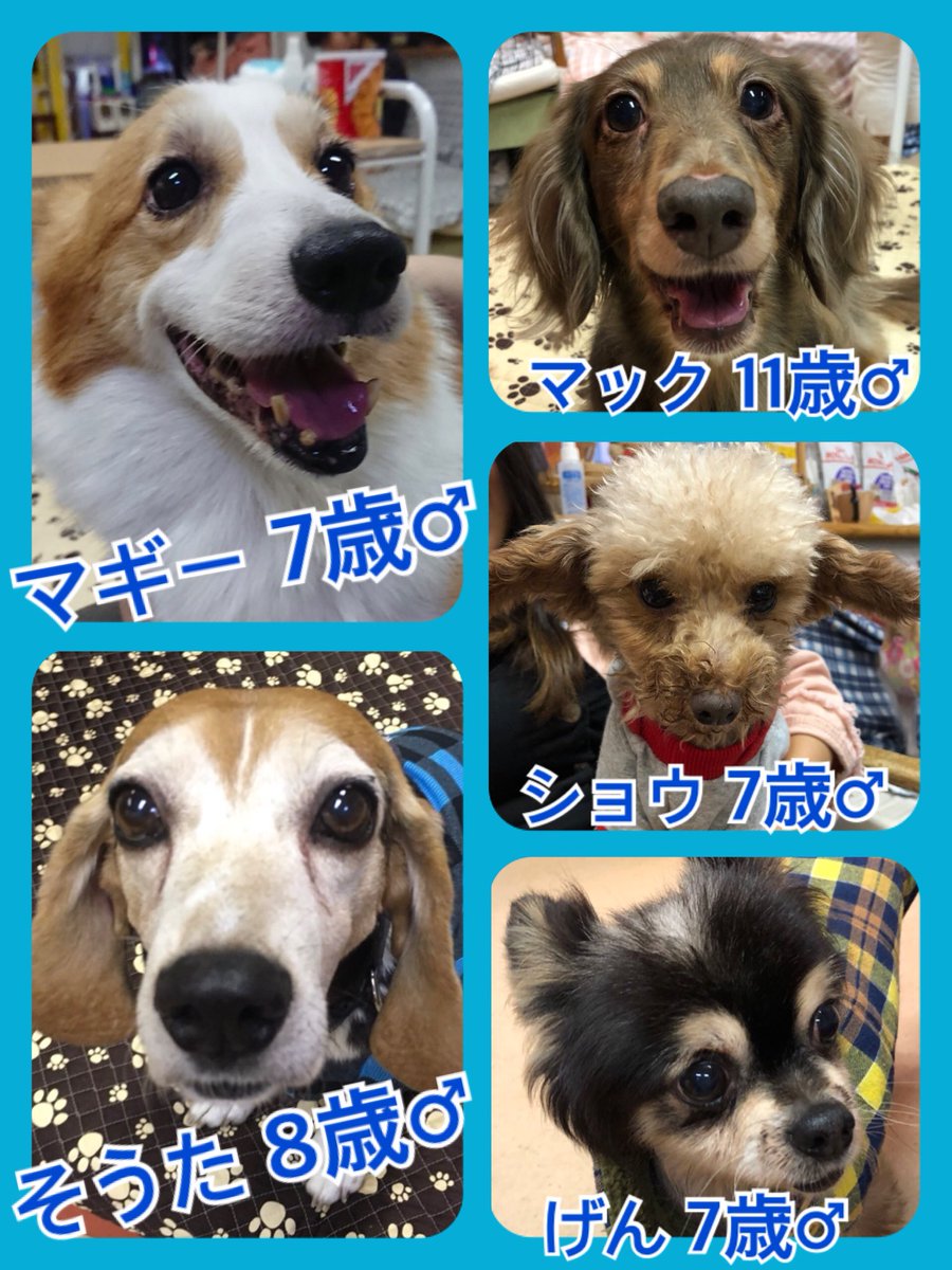 2018,10,1